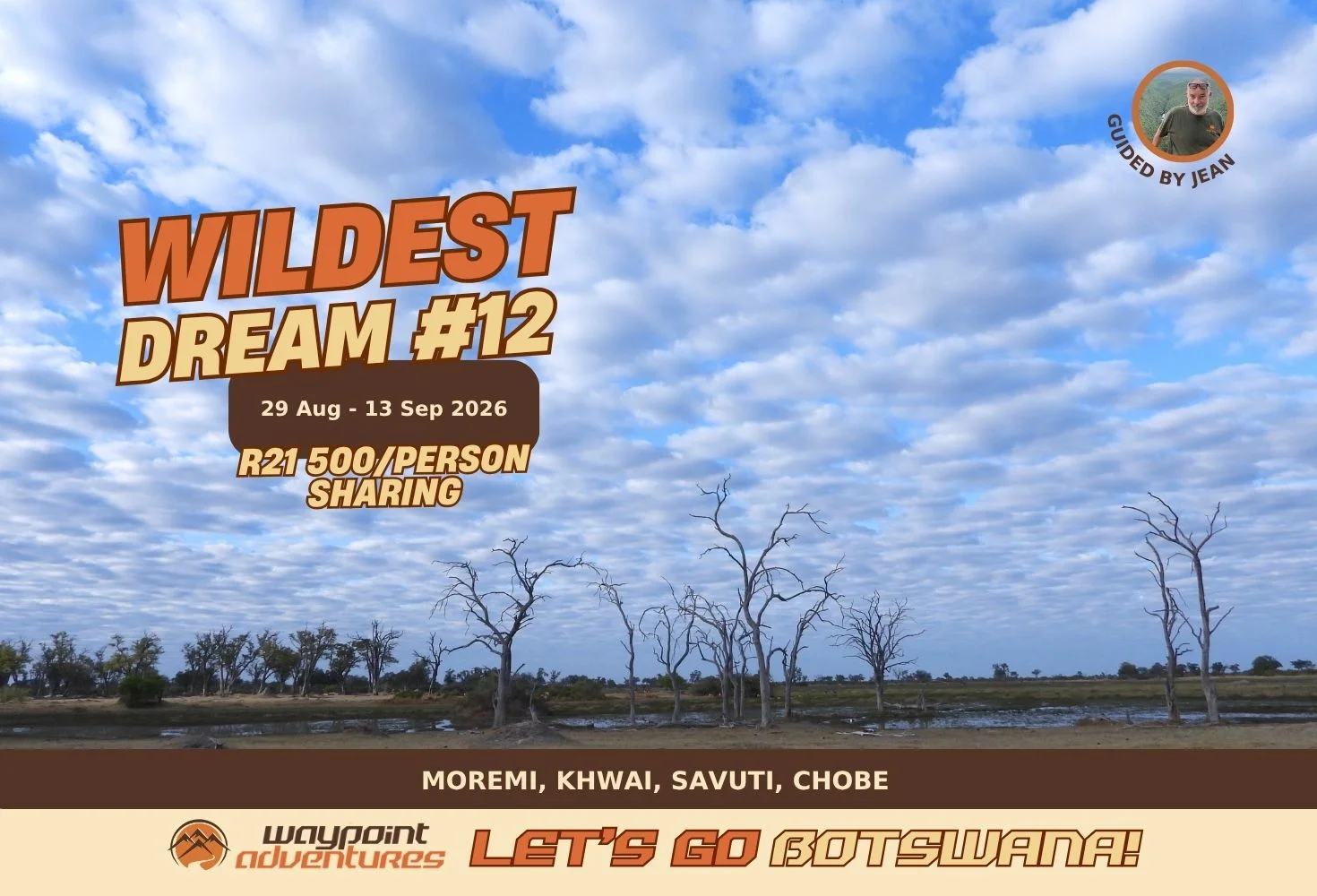 Wildest Dream #12