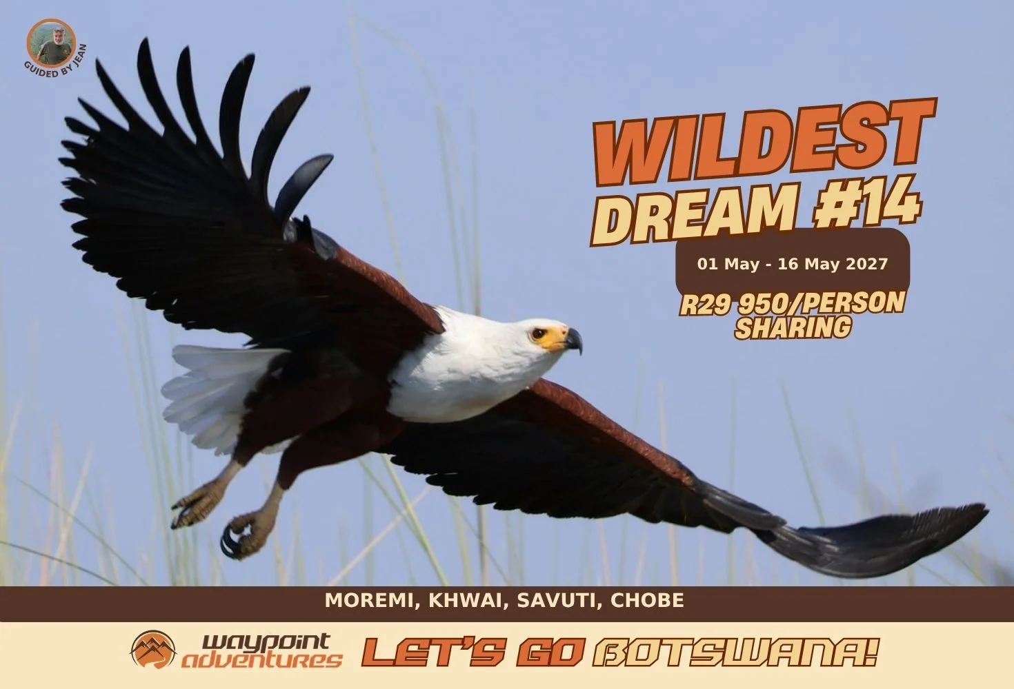 Wildest Dream #14