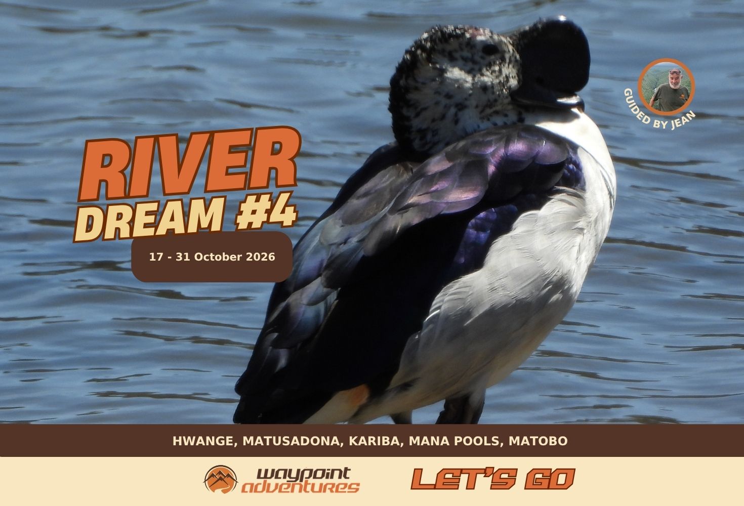 River Dream #4