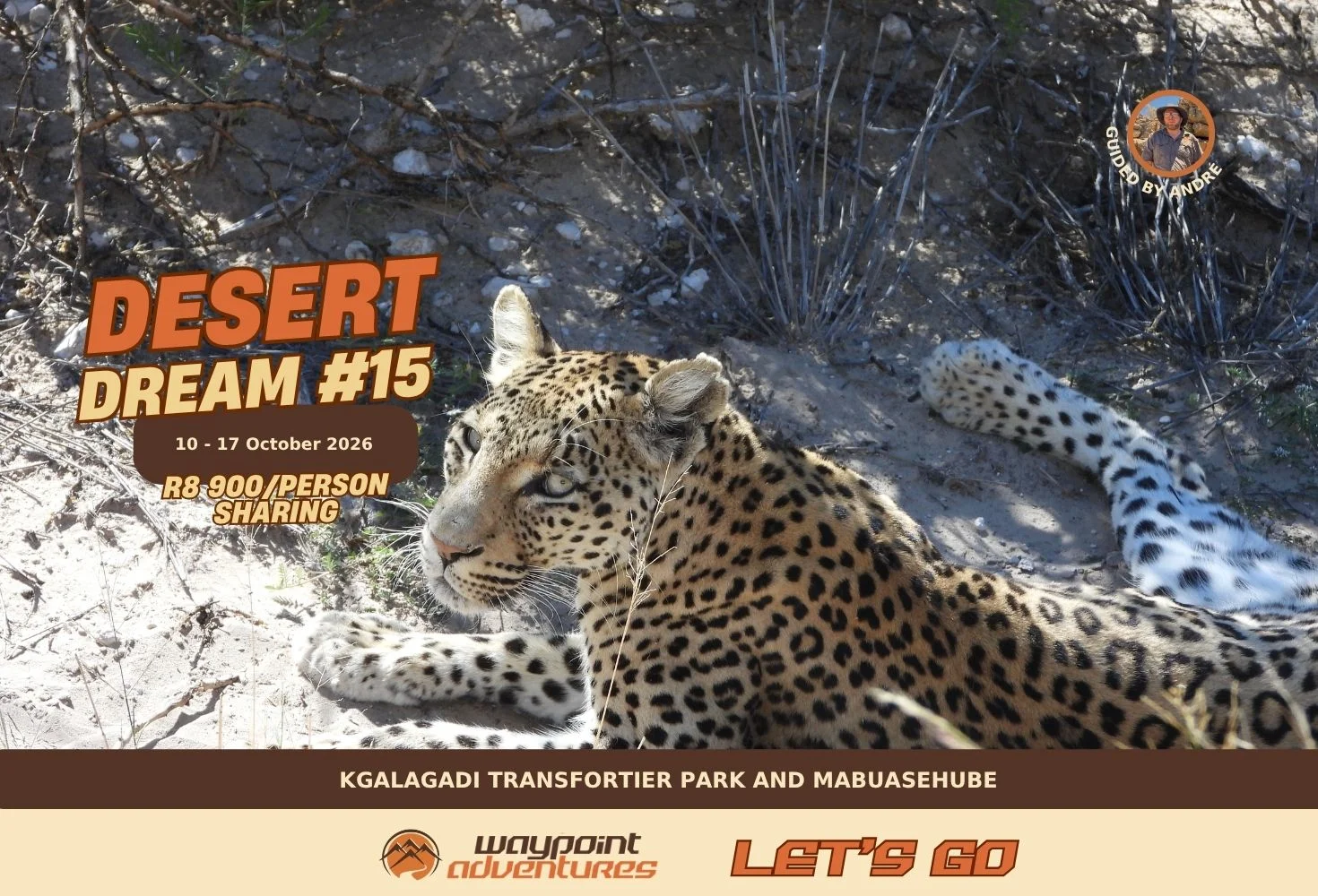 Desert Dream #15