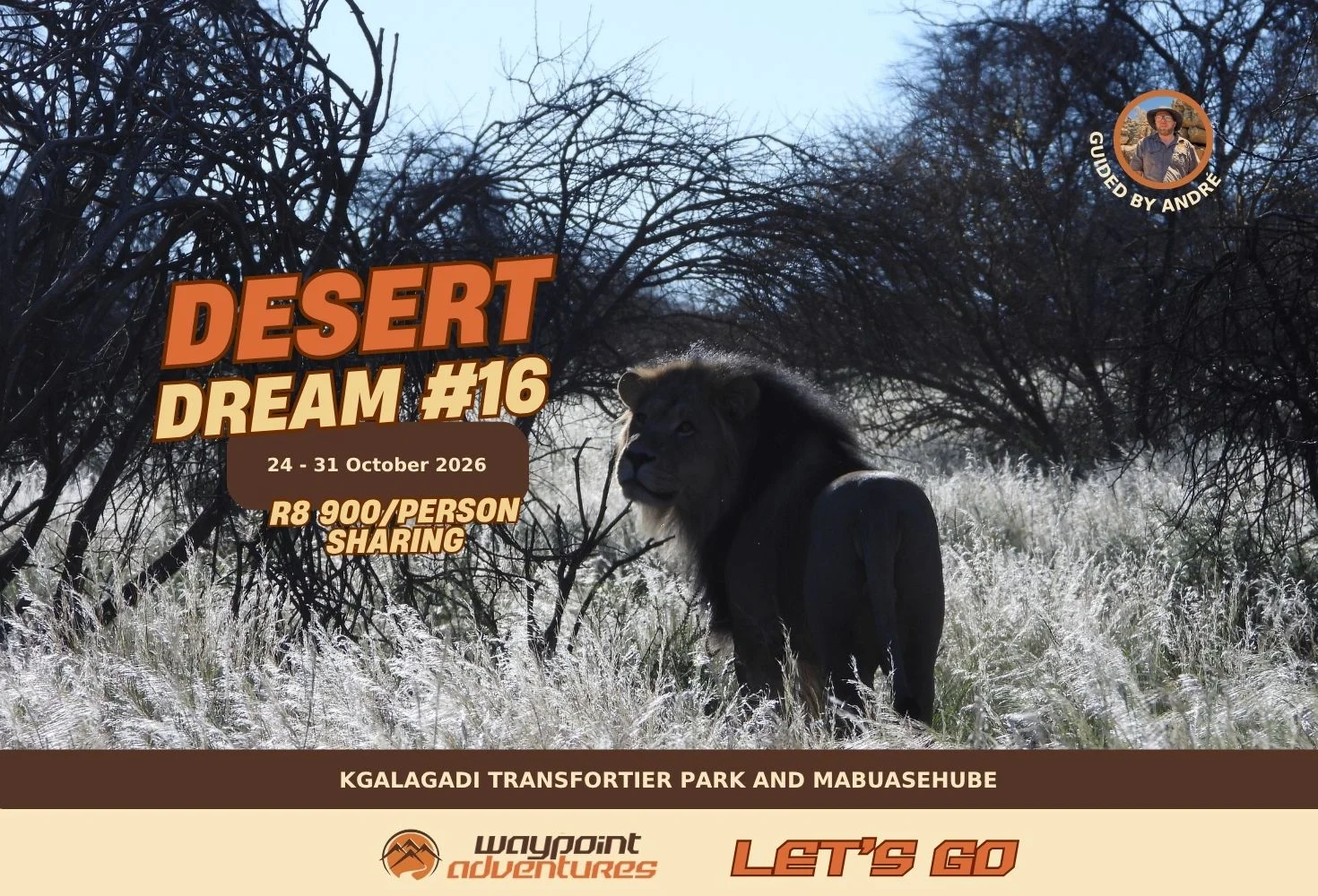 Desert Dream #16