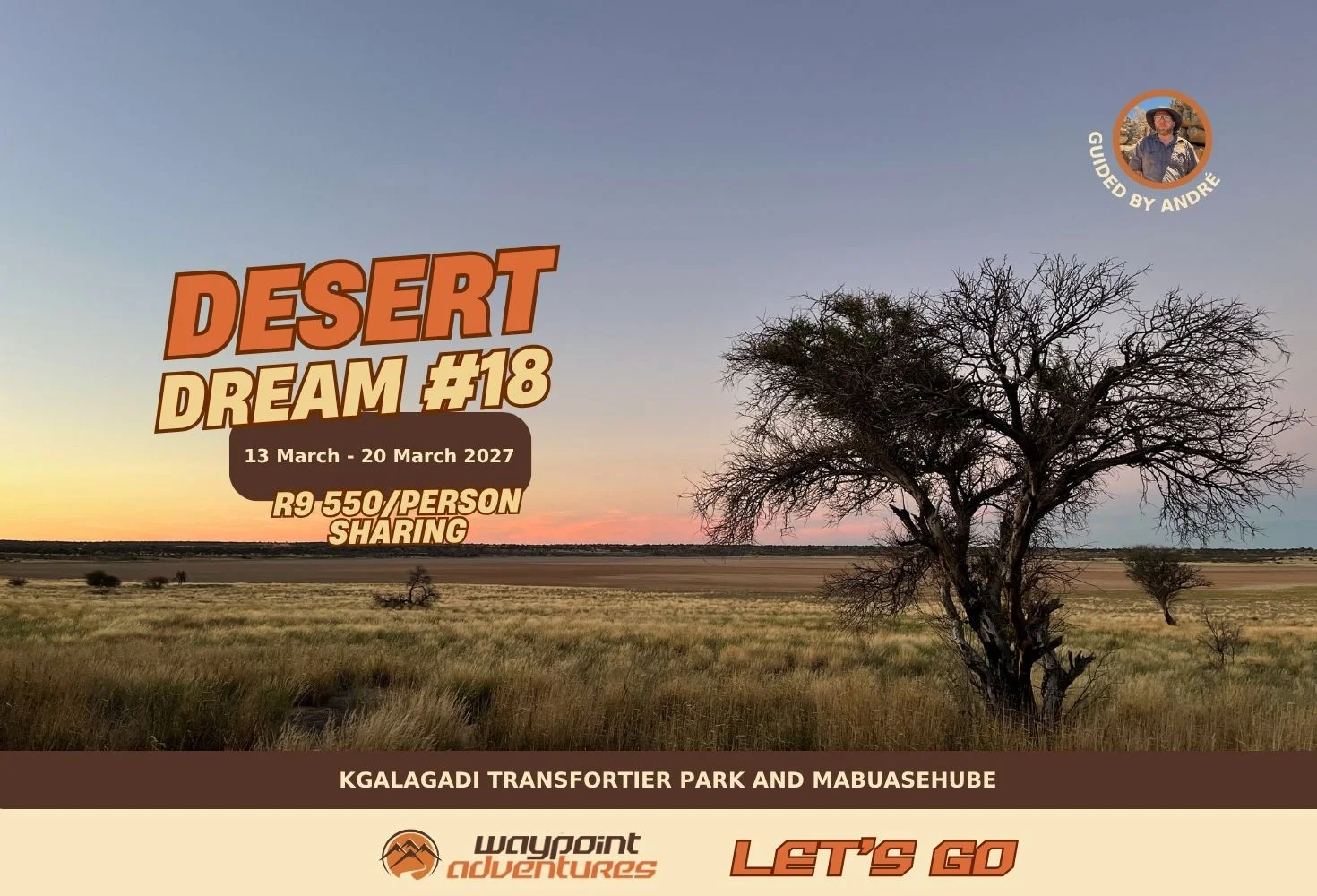 Desert Dream #18