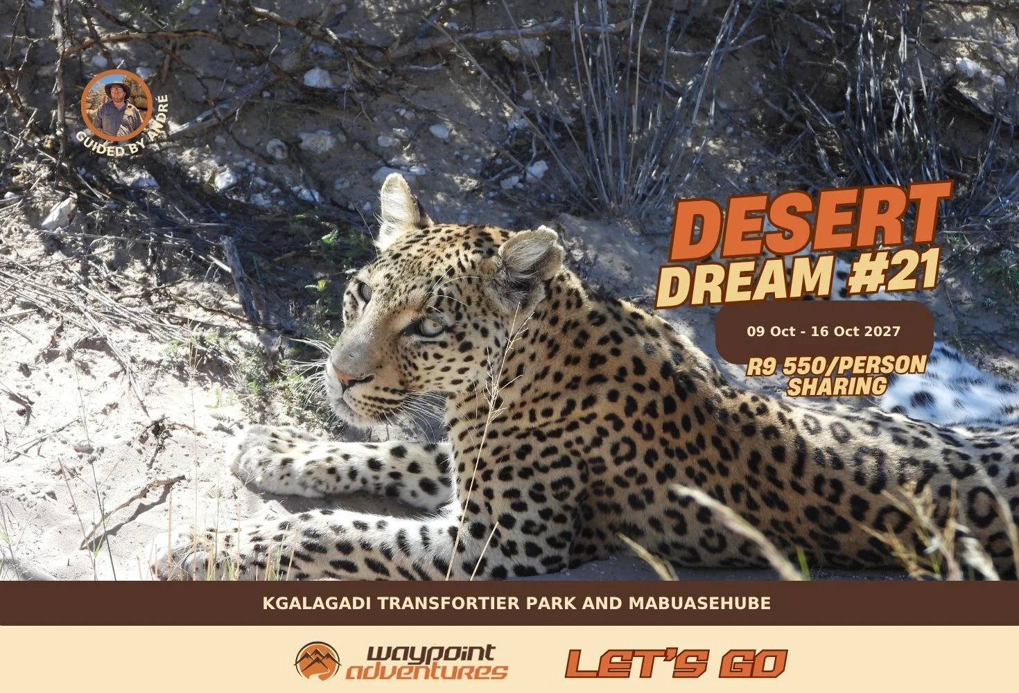 Desert Dream #21