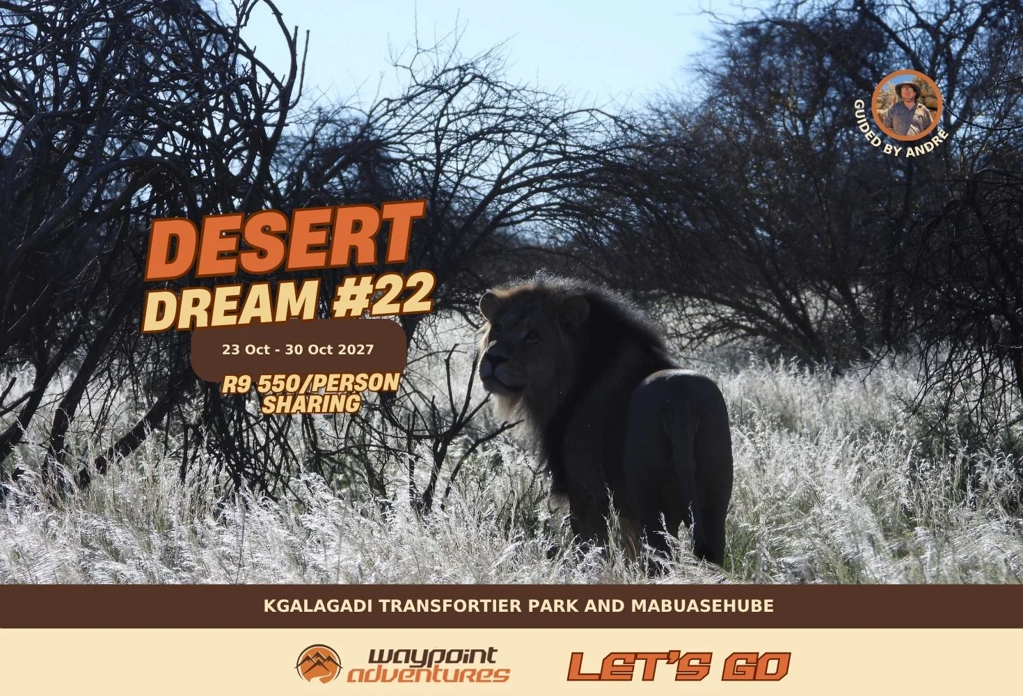 Desert Dream #22