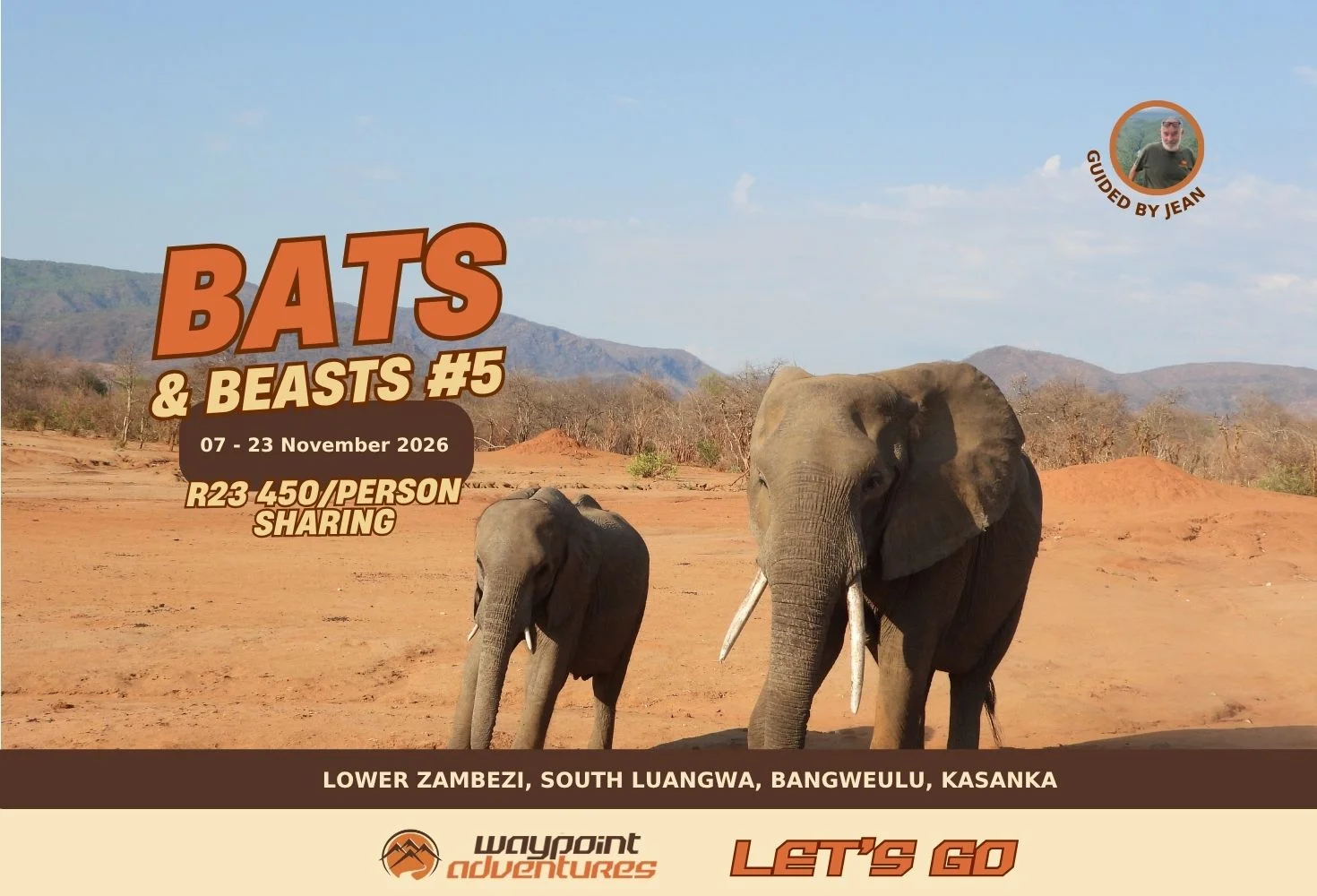 Bats and Beasts #5